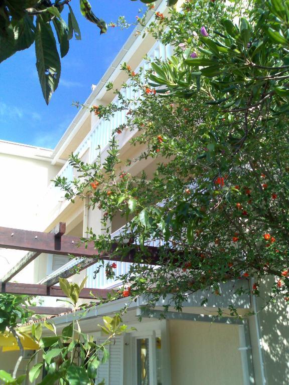 Villa Tenzera Herceg Novi Eksteriør billede