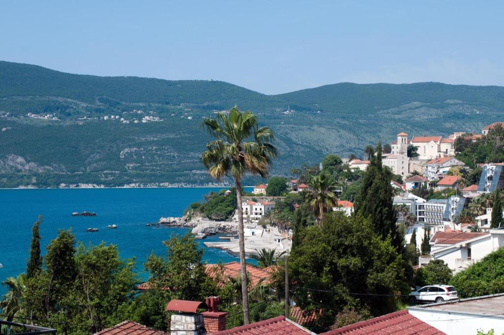 Villa Tenzera Herceg Novi Værelse billede
